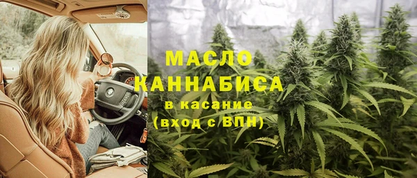 стаф Туринск