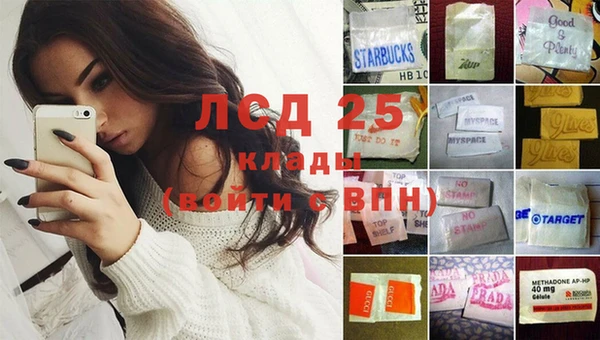 стаф Туринск