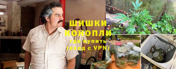 apvp Вязьма