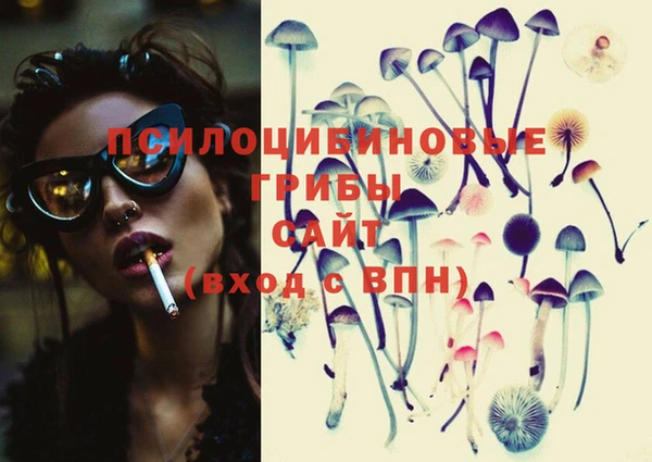 круглые Вяземский