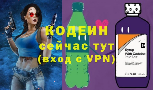apvp Вязьма