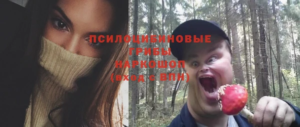 apvp Вязьма