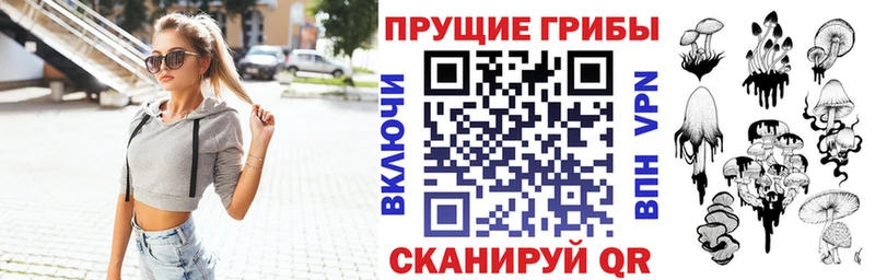 кракен как войти  Венёв  Псилоцибиновые грибы Psilocybe 